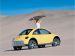 Volkswagen New Beetle Dune Picture #23